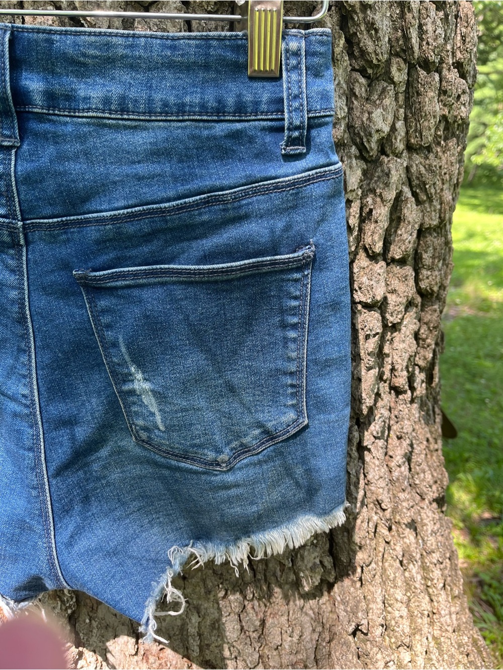 ⭐️Windsor Button Fly Denim Shorts in size S
